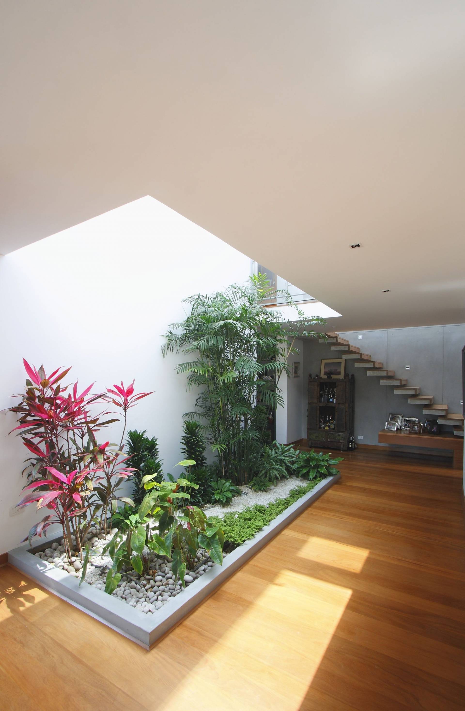 thiết kế vườn xanh trong nhà