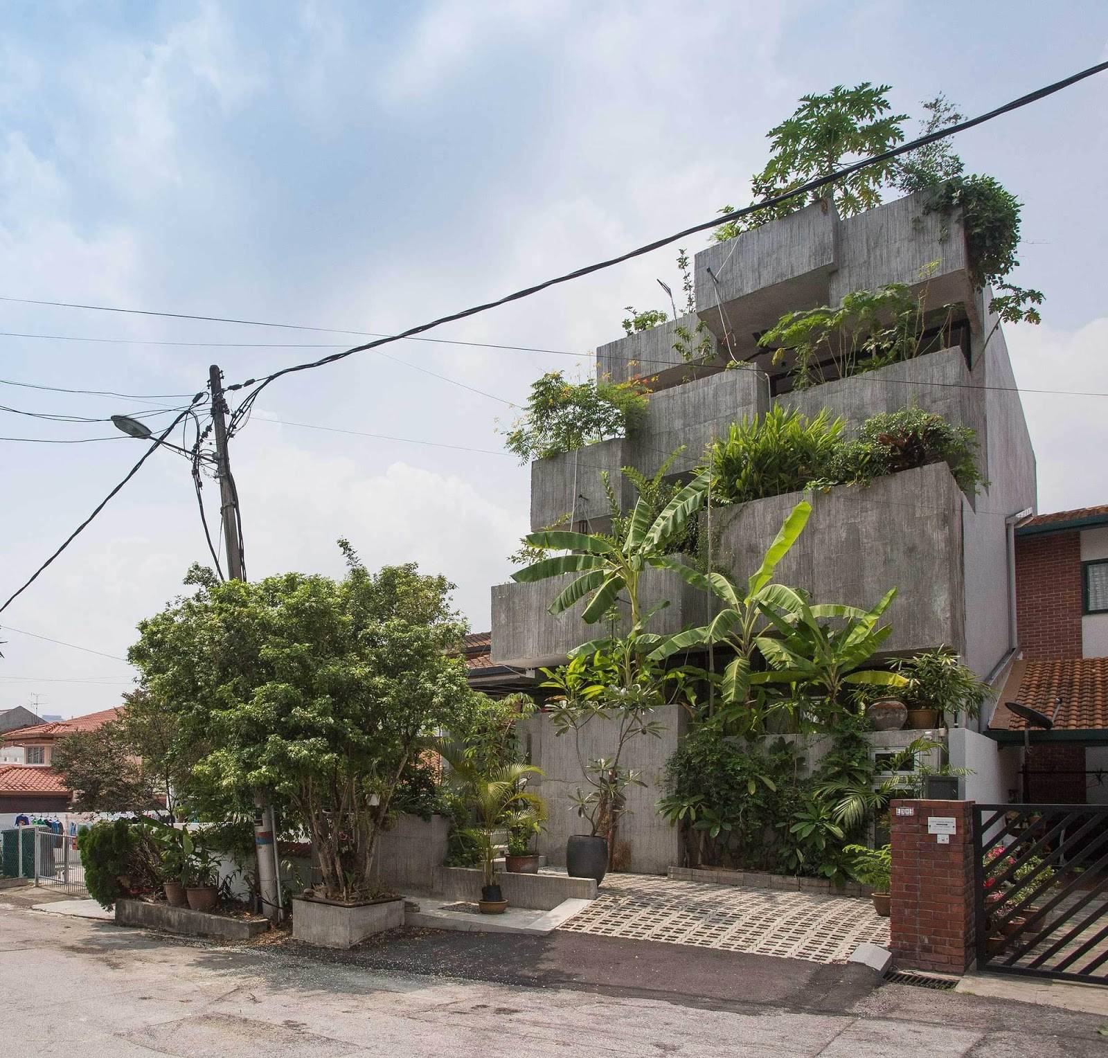 Tổ ấm đầy cây xanh, là nơi cặp vợ chồng đã về hưu sống an vui suốt quãng đời còn lại