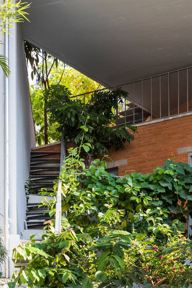 Giữa Sài Gòn có một căn nhà phố xanh mát từ trong ra ngoài mang tên hà house