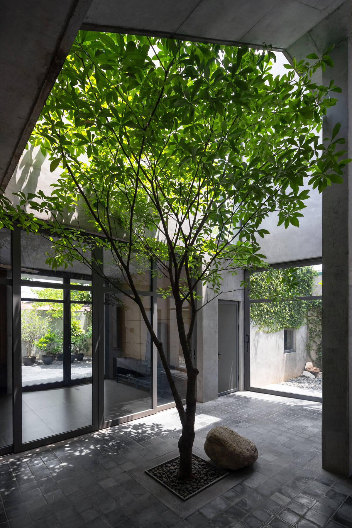 nhà ống Trang House