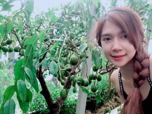 Rời bỏ ngôi nhà 2 triệu đô, vợ chồng Lý Hải - Minh Hà chuyển hẳn ra căn nhà vườn ở ngoại thành sinh sống