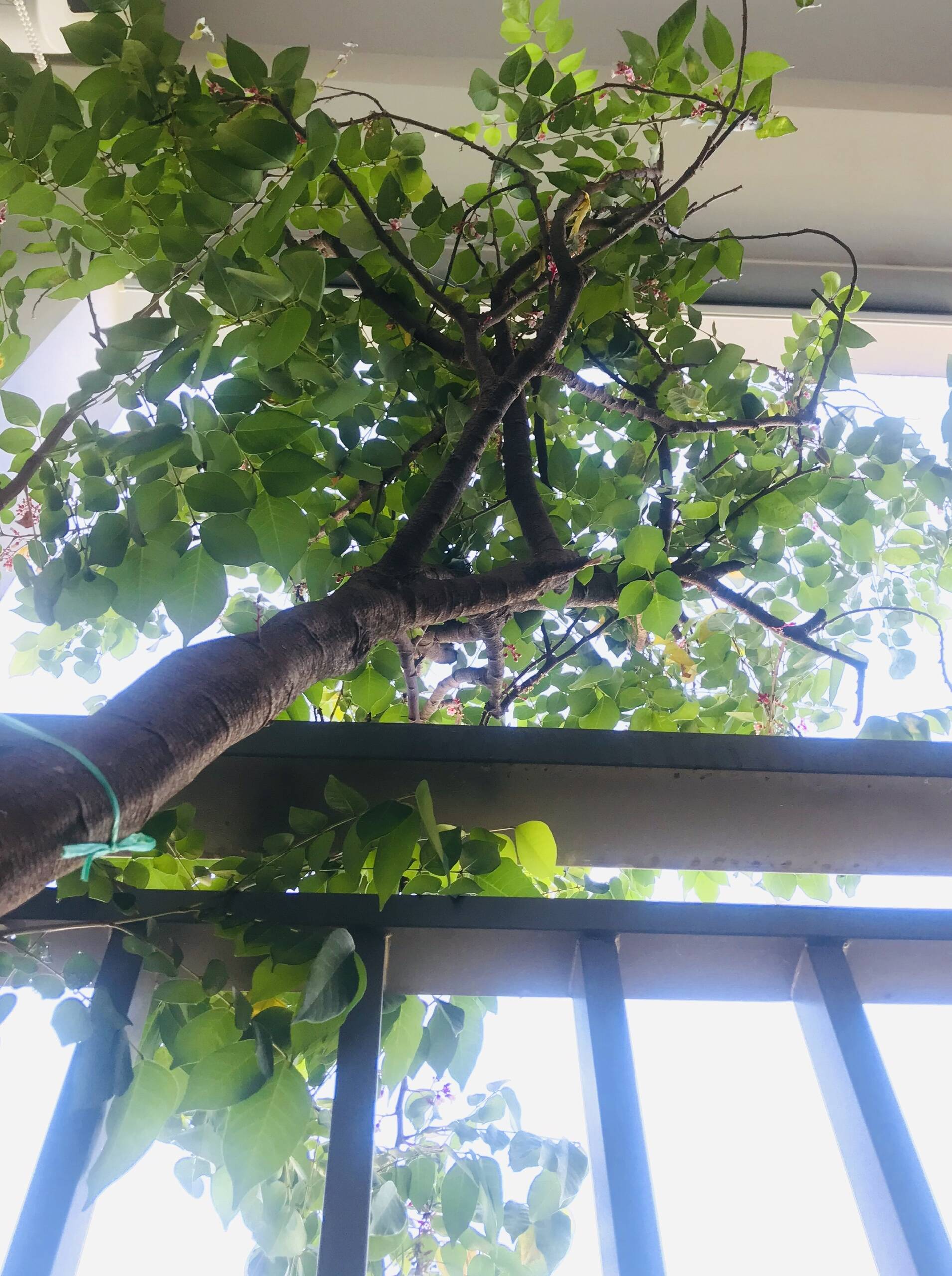 Căn hộ 70m2