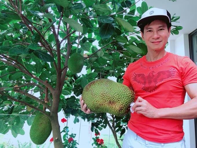 Rời bỏ ngôi nhà 2 triệu đô, vợ chồng Lý Hải - Minh Hà chuyển hẳn ra căn nhà vườn ở ngoại thành sinh sống
