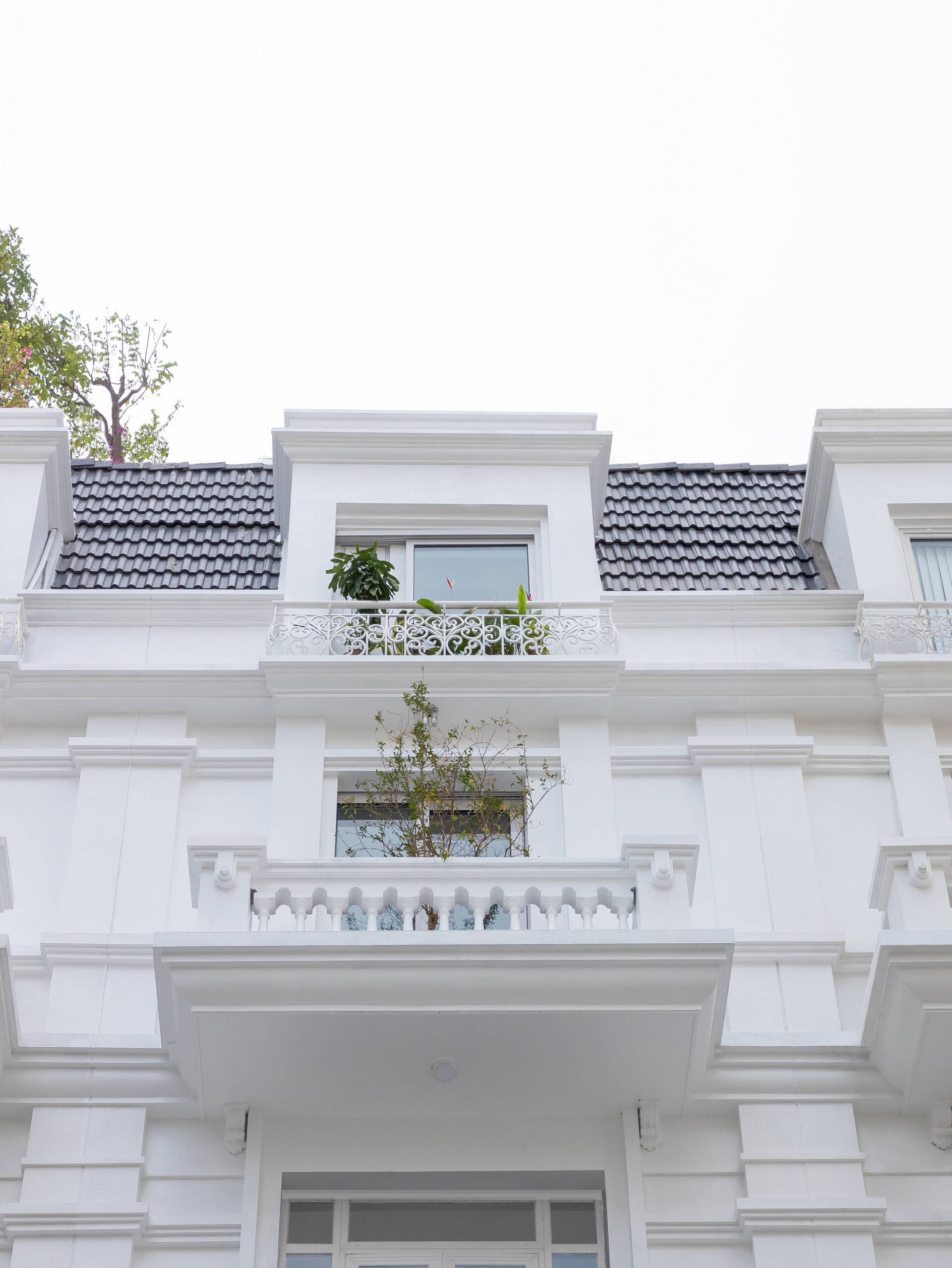 TBOLD House