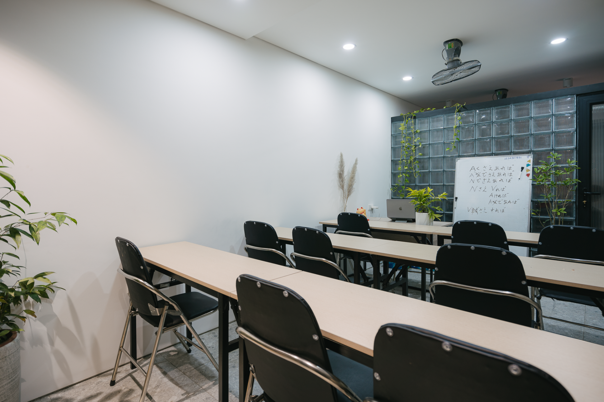 Cô giáo dạy tiếng Nhật cải tạo nhà dột nát, rêu mốc hết 400 triệu đồng, giữ nguyên diện tích sân vườn