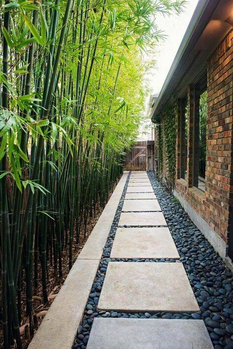 Thiết kế lối đi phụ ngoài trời cũng là 1 nghệ thuật, tham khảo 15 ý tưởng đơn giản mà hiệu quả sau