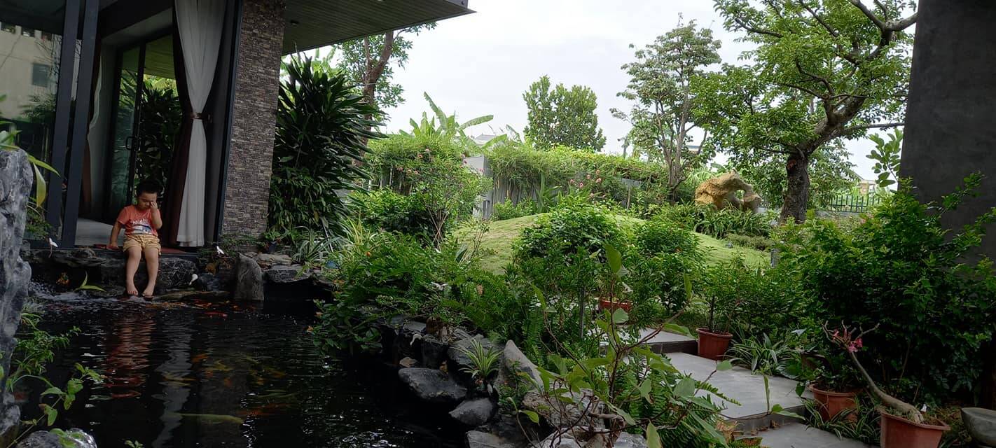 Xa quê 20 năm để lập nghiệp, đôi vợ chồng về lại cố hương xây biệt thự, dành riêng 600m2 cho sân vườn xanh ngát
