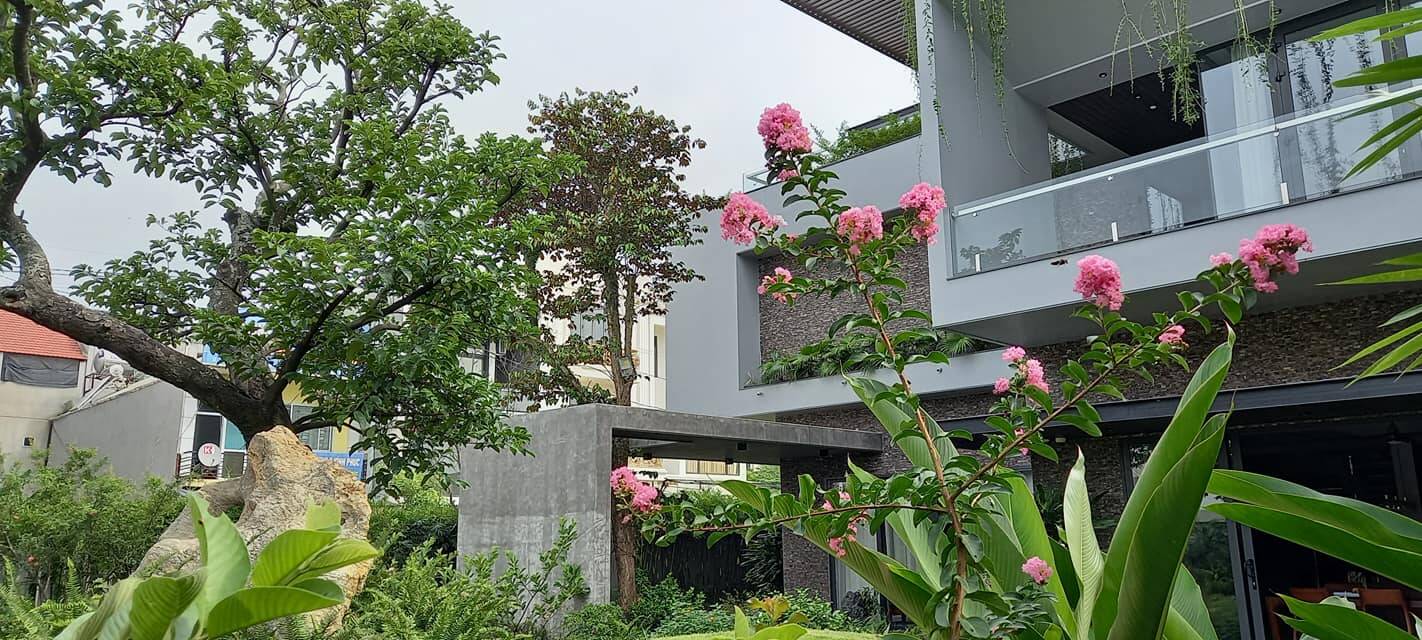 Xa quê 20 năm để lập nghiệp, đôi vợ chồng về lại cố hương xây biệt thự, dành riêng 600m2 cho sân vườn xanh ngát