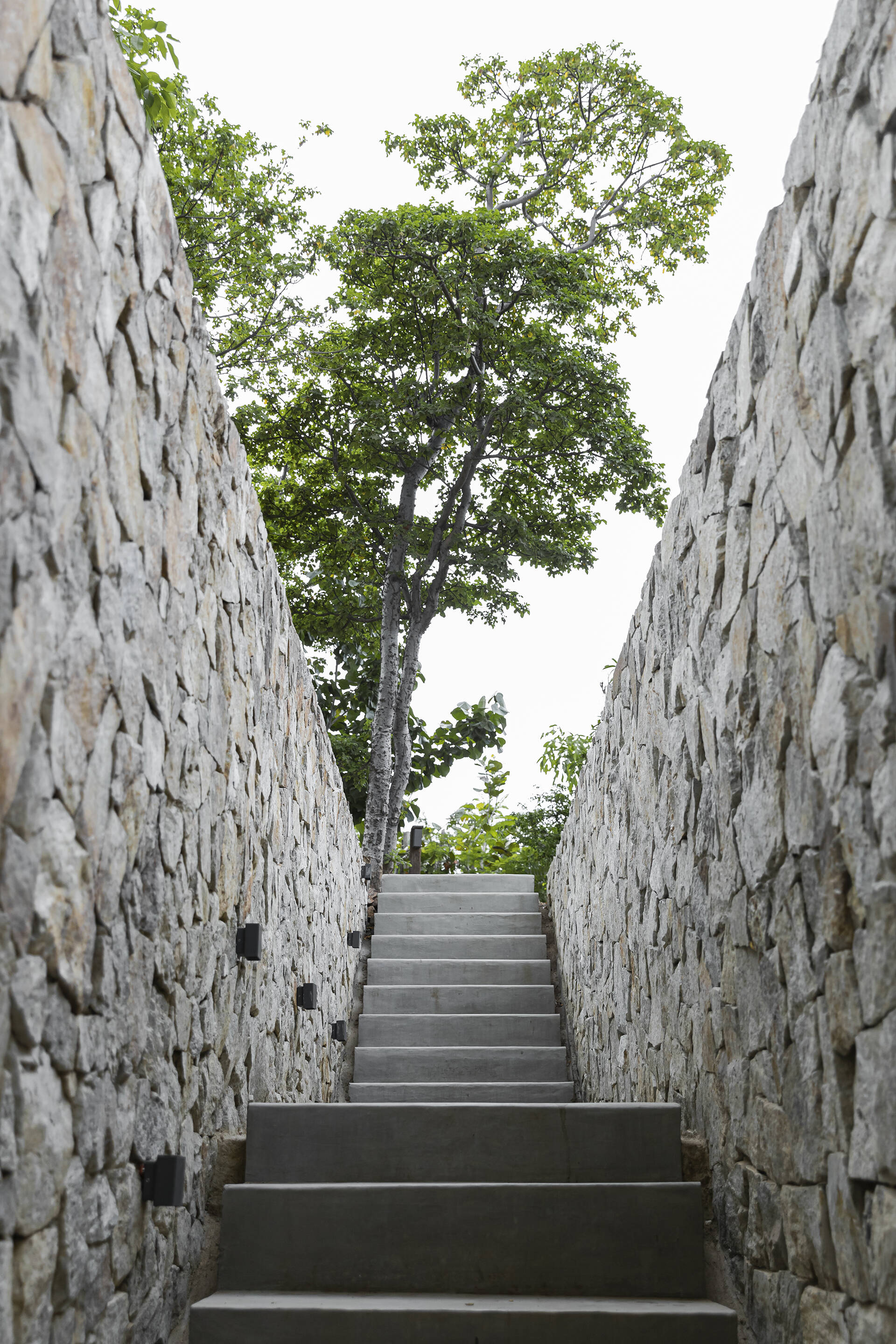 Nhà ở mà cứ ngỡ khu nghỉ dưỡng 5 sao: Biệt lập giữa ngọn đồi, sở hữu view biển đắt giá